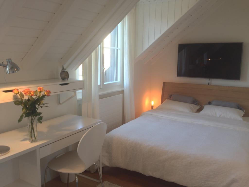 Carouge Loft Appartement *