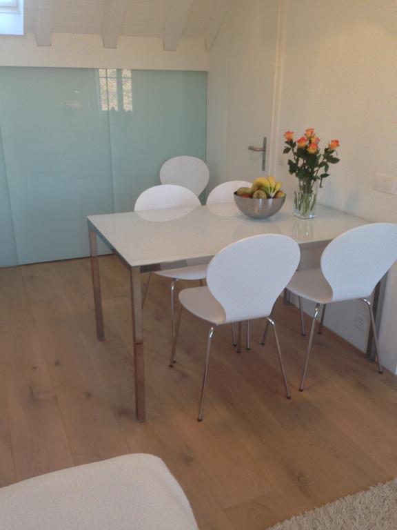 Carouge Loft Appartement *
