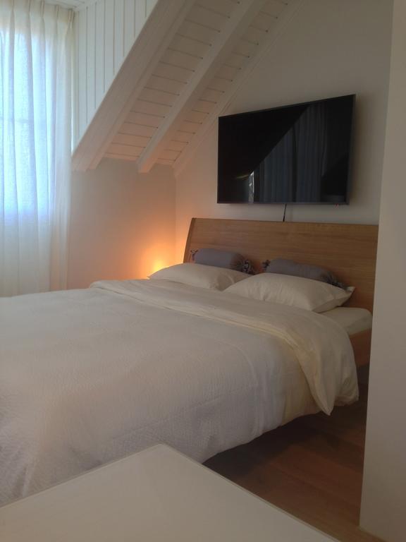 Carouge Loft * Genève