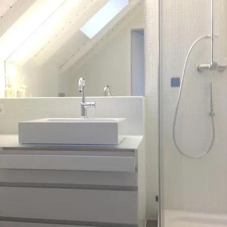 Carouge Loft Appartement Genève