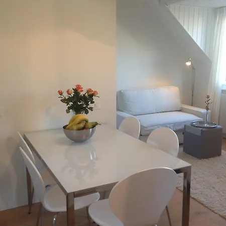 Carouge Loft *