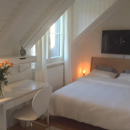 Carouge Loft Appartement *