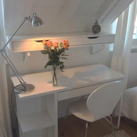 Appartement Carouge Loft *