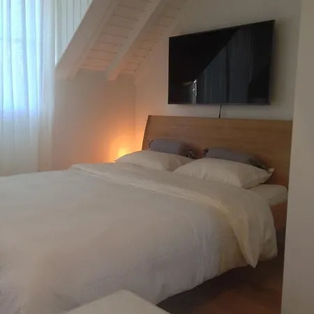 Carouge Loft * Genève