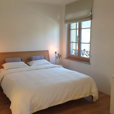 Carouge Loft Appartement *