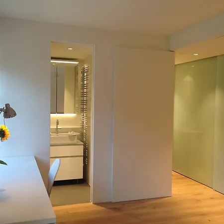 Appartement Carouge Loft