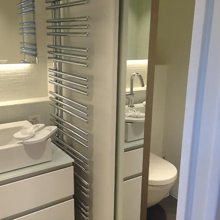 Carouge Loft Genève